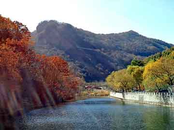 新乡四季花城，最新动态与未来展望